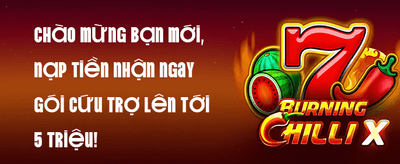Hoàn Trả VIP Hàng Tuần 2% promotion